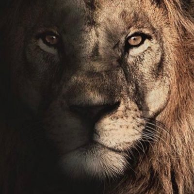 m_m_a_ksa's profile picture. حُب النصر 🇺🇦 غير مشروط ..