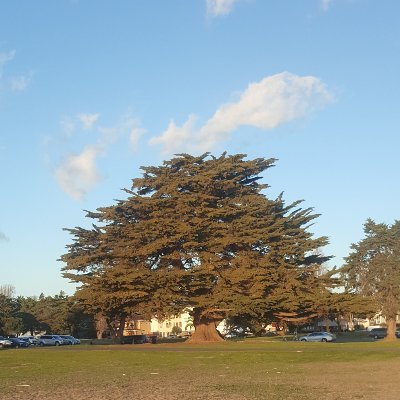 Lynette75018's profile picture. On se relaie à 3 pour twitter, on débat, on échange.#saintdenis