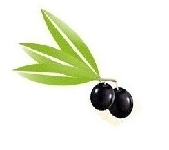 Siga o twitter do site do Azeitona Preta em Jacarei e fique por dentro das ofertas que você pode espetar, todas com mais de 50% de desconto!
Em Breve !!