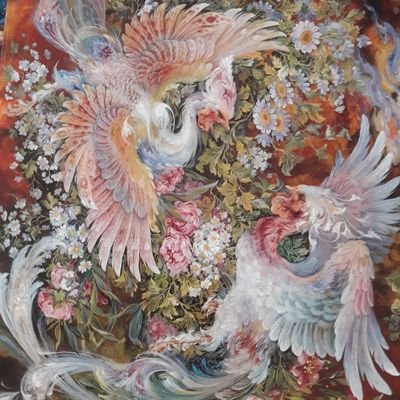 mojdeh47443678's profile picture. 