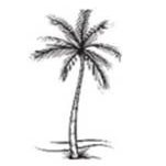 Culture Wellness (@culturewellnes1) 's Twitter Profile Photo