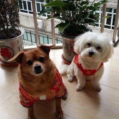 martinigor10's profile picture. Fun to be with, always make people smile I was born on 27th October 1969 in Catholic Religion, I have served with the 1st Battalion in Iraq, Libya, Afghanistan