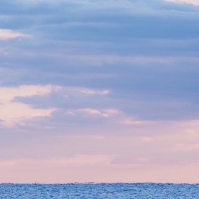 Mrwhitebear123's profile picture. 