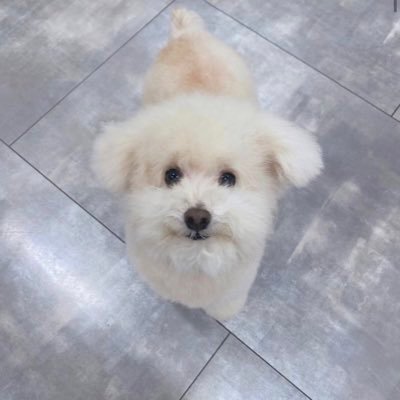 shinkkkko's profile picture. 