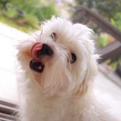 HUHUさんのプロフィール画像