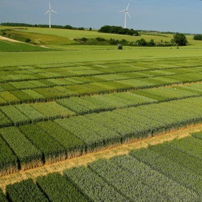 Technicien en Expérimentation région Nouvelle Aquitaine #ceuxquifontlesessais passionné par l agriculture en générale, le machinisme et nouvelles technologies