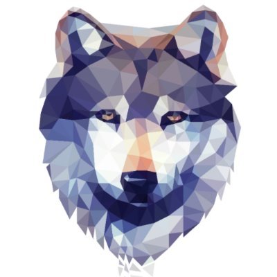 boredwolfie's profile picture. What even it my life?

They/Them