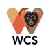 WCS Madagascar (@wcs_mada) Twitter profile photo