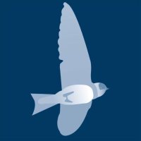 Sand Martins G.C (@sandmartinsgc) 's Twitter Profile