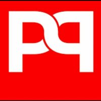 Pact Performance LLC(@PactPerformance) 's Twitter Profileg