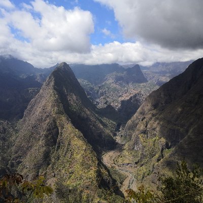 franjeadette's profile picture. 