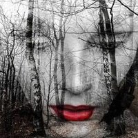 Birdman6474 (@birdman6474) 's Twitter Profile