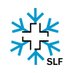 SLF Davos @slfdavos.bsky.social (@slfdavos) Twitter profile photo SLF Davos @slfdavos.bsky.social (@slfdavos) Twitter profile photo