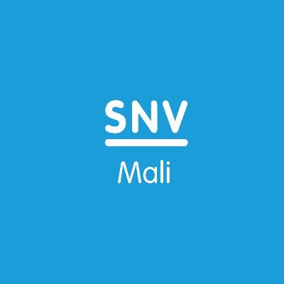 snvmalinews Profile Picture