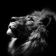 yysoftwarehouse's profile picture. Welcome To YY Software House 
Here You Can Learn Free Courses  
Ms Office, Graphic Designing, Web Designing, 3d modeling, Animation, Ethical Hacking,