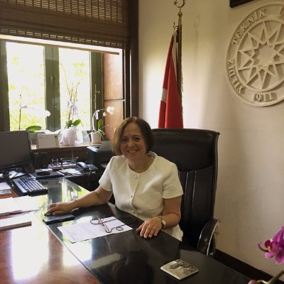 Yıldız Teknik Üniversitesi Mimarlık Fakültesi, Mimarlık Bölümü,
Yapı Fiziği Lisansüstü Programı Öğretim Üyesi, Prof. Dr.