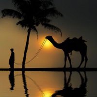 ريانسافيتش (@scoqht) 's Twitter Profile Photo ريانسافيتش (@scoqht) 's Twitter Profile Photo