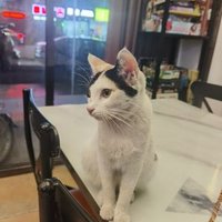 RewardAccount (@kyeeezhong) 's Twitter Profile