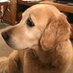 Linda Sykes (@lindasy68213564) Twitter profile photo Linda Sykes (@lindasy68213564) Twitter profile photo