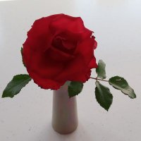 Margaret Metcalfe (she/her) (@margaretm_slt) 's Twitter Profile
