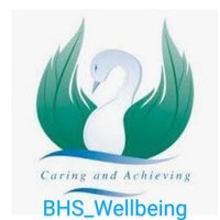 BHS_Wellbeing(@bhs_wellbeing) 's Twitter Profile Photo