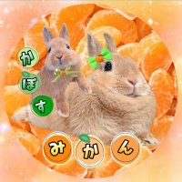 みかん🍊かぼす💚 (@f3k58ed8vlwdmsc) 's Twitter Profile Photo みかん🍊かぼす💚 (@f3k58ed8vlwdmsc) 's Twitter Profile Photo