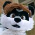 ๐๐๐ฟ๐ ๐๐๐ ๐๐๐ผ๐๐ ๐๐ผ๐๐๐ (@indycoone) Twitter profile photo ๐๐๐ฟ๐ ๐๐๐ ๐๐๐ผ๐๐ ๐๐ผ๐๐๐ (@indycoone) Twitter profile photo