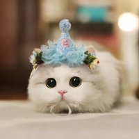 Oilll (@areeratoil1) 's Twitter Profile
