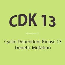 This is the Twitter page for CDK13 Genetic Disorder.A rare genetic condition identified in 2016 & just 280 confirmed cases w/wide.Set up & run by Parent/Carers.