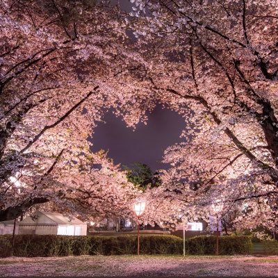 メロリンキュー Ikareponnchi Twitter メロリンキュー Ikareponnchi Twitter