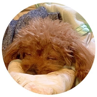 gaga_kanon's profile picture. 筑紫丘→九大