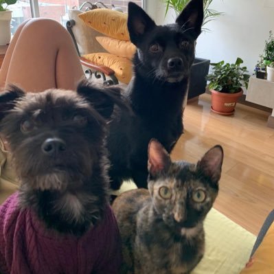 jimenezdjc's profile picture. 