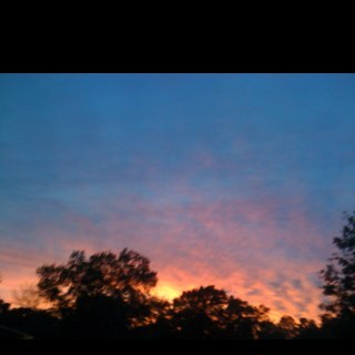 paulwh61's profile picture. conservative christian musician that loves God , family , and country.