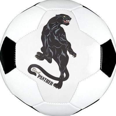 PantherPchs's profile picture. Pinckneyville High School Soccer