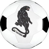PCHS Panther Soccer (@pantherpchs) 's Twitter Profile