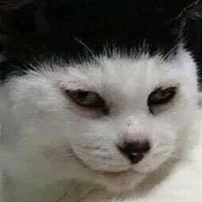 xhoqomhoi's profile picture. 