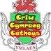 Criw Cymraeg Cathays (@chs_criwcymraeg) Twitter profile photo Criw Cymraeg Cathays (@chs_criwcymraeg) Twitter profile photo