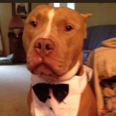 OlCurt66's profile picture. Hellohhhh, is it me your lookin’ for?🎶🎶