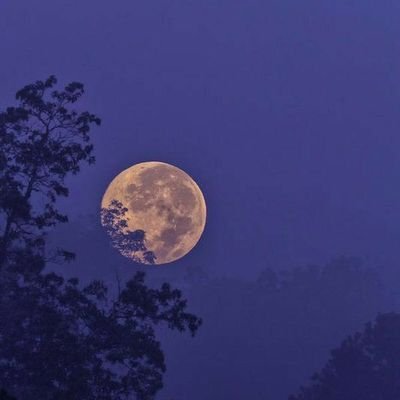 Sarahk_mdr's profile picture. 