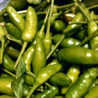 Kasutanet's profile picture. 1970年生まれ　子供7人 八丈島からぶつぶつ！愛車はハイエース バンドでドラムたたいてます PAもやります ホールおじゃれの舞台業務やります 八丈太鼓六人会のメンバーです 料理します 航空灯火保守をやっている電気工事士です でも作業着は寅壱です