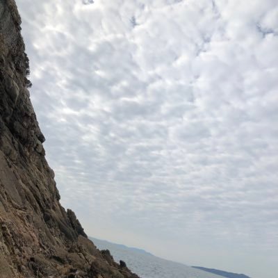 ICU26869403's profile picture. ICU看護師 勉強は大事だと思う今日この頃です。