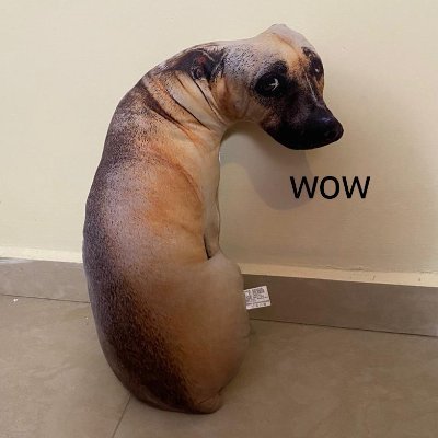 SonDog9000's profile picture.