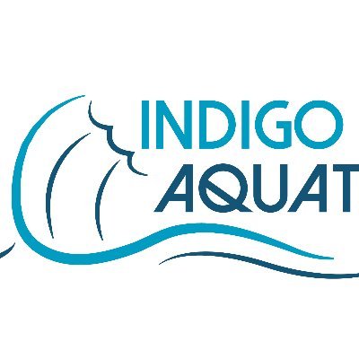 Providing a wave of aquatic products in the United States, Canada, Latin America and Caribbean market.
Shallow, deep and transitional equipment to enhance your