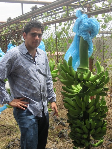 Platanero de corazón. Apasionado del comercio, agricultura y tecnologia. En busca por la transformacion de Mexico.