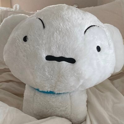 luc_alu's profile picture. 아노짱  =・ω・=