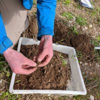 Sam Hurst (@nrtsam) 's Twitter Profile