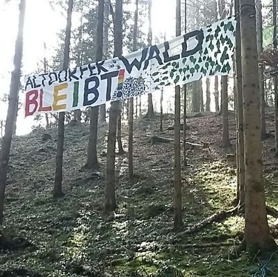 Telegram-Infoticker @altdorfer_wald Haltestelle: Abzw. Grund im Wald, Vogt. Alle Tweets stellen Meinungen von Einzelpersonen aus der Besetzung da.