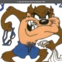 TaZ Locks (@tazlocks) 's Twitter Profile