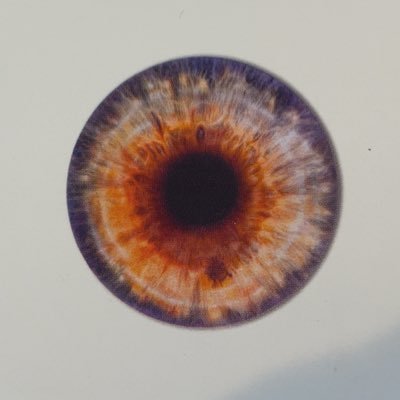 LukasFisher7's profile picture. 