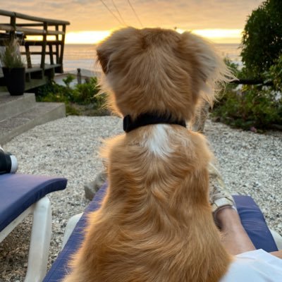 Marita_50's profile picture. 70 años